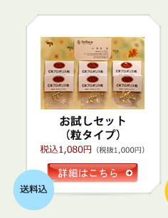 格安爆買いCBプロポリス錠2本セット　ブラジル産最高級定価16200円 ダイエットサプリ